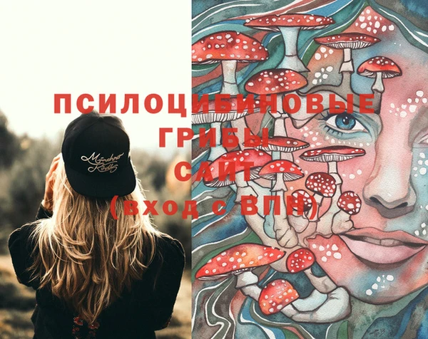 прущий лед Карпинск