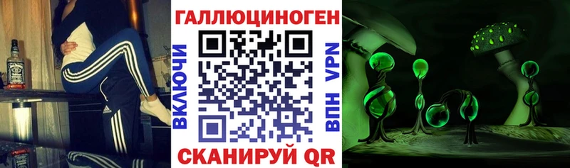 Псилоцибиновые грибы Psilocybe  Ижевск 